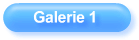 Galerie 1